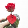 MINI ROSA ETERNA ROJA