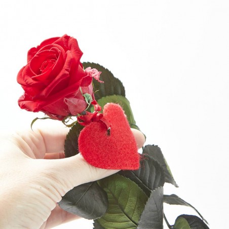MINI ROSA ETERNA ROJA