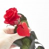 MINI ROSA ETERNA ROJA