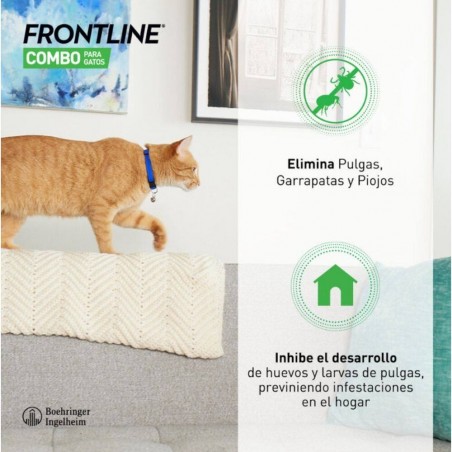 FRONTLINE SPOT COMBO PIPETAS ANTIPARASITARIAS PARA GATOS 3 PIPETAS