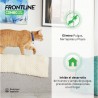 FRONTLINE SPOT COMBO PIPETAS ANTIPARASITARIAS PARA GATOS 3 PIPETAS