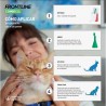 FRONTLINE SPOT COMBO PIPETAS ANTIPARASITARIAS PARA GATOS 3 PIPETAS