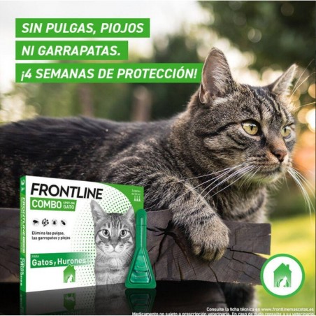 FRONTLINE SPOT COMBO PIPETAS ANTIPARASITARIAS PARA GATOS 3 PIPETAS