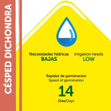 SEMILLAS DICHONDRA REPENS 200GR