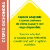SEMILLAS DICHONDRA REPENS 200GR