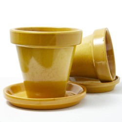 MACETA BARRO ESMALTADA MOSTAZA