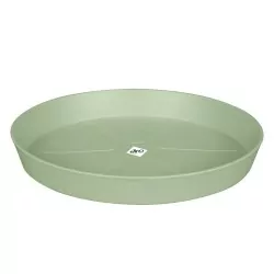 PLATO LOFT URBAN VERDE