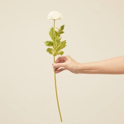 CAMELIA BLANCA ARTIFICIAL L10.00-W8.00-H57.00CM