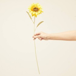 GIRASOL ARTIFICIAL D14.00-H64.00CM