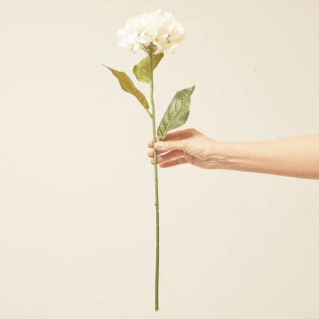 HORTENSIA BLANCA L12.00-W12.00-H25.00CM