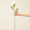 HORTENSIA BLANCA L12.00-W12.00-H25.00CM
