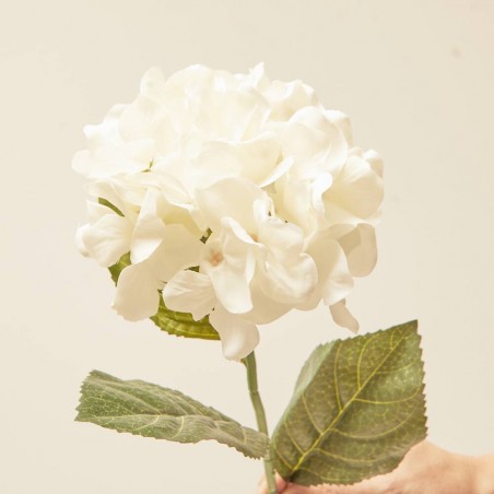HORTENSIA BLANCA L12.00-W12.00-H25.00CM