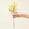 MIMOSA AMARILLA ARTIFICIAL H38.00CM