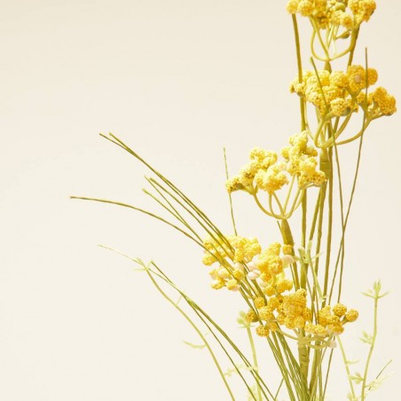 HELICHRYSUM ARTIFICIAL