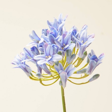 AGAPANTUS ARTIFICIAL AZUL L75CM