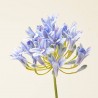 AGAPANTUS ARTIFICIAL AZUL L75CM