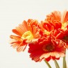 BOUQUET DAISY NARANJA ARTIFICIAL