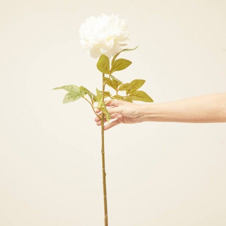 PEONÍA BLANCA ARTIFICIAL L34.00-W16.00-H72.00CM