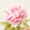 PEONÍA ROSA ARTIFICIAL L34.00-W16.00-H72.00CM