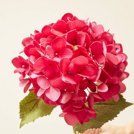 HORTENSIA ARTIFICIAL WINE CERISE H70CM