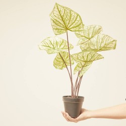 CALADIUM ARTIFICIAL D40-H45CM