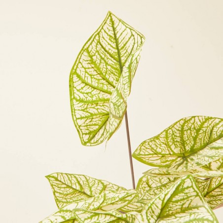 CALADIUM ARTIFICIAL D40-H45CM