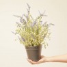 LAVANDA MACETA ARTIFICIAL