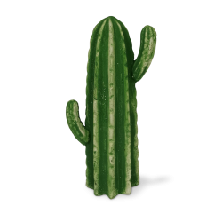 CACTUS 25CM CR05
