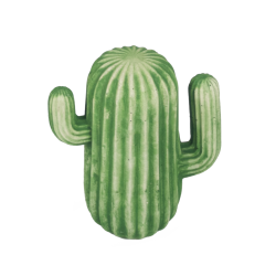 CACTUS 15CM CR05