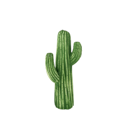 CACTUS 45CM CR05