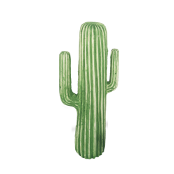 CACTUS 42CM CR05