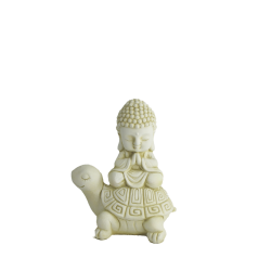 BUDA TORTUGA CR04