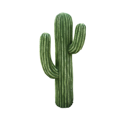 CACTUS 73CM CR05