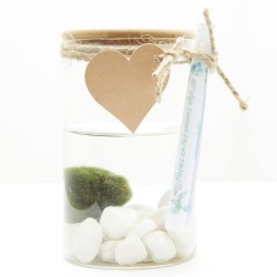 MARIMO CENTRO ACUÁTICO