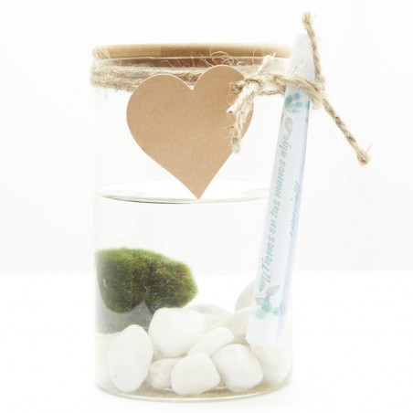 MARIMO CENTRO ACUÁTICO