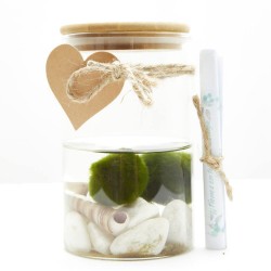 MARIMO CENTRO ACUÁTICO DOBLE