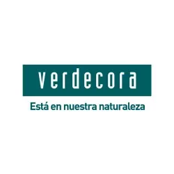DRACENA SILINDRO C25
