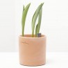 TULIPÁN MACETA 9CM