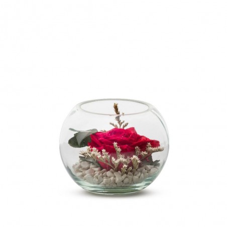 ROSA ROJA ETERNA URNA