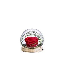 COMPOSICIÓN ROSA ETERNA BOLA LUMINOSA