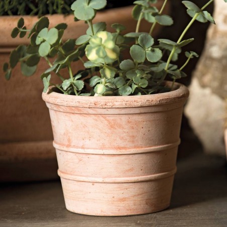 MACETA VASO MINI SIENA