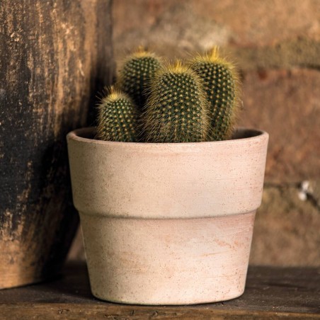 MACETA VASO LISCIO MINI SIENA