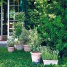 JARDINERA CASSETTA SICILIA