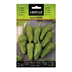 SEMILLAS PIMIENTO PADRÓN