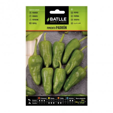 SEMILLAS PIMIENTO PADRÓN