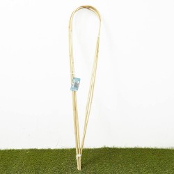 TUTOR BAMBÚ ARCO 120CM (3 UD) VERDECORA
