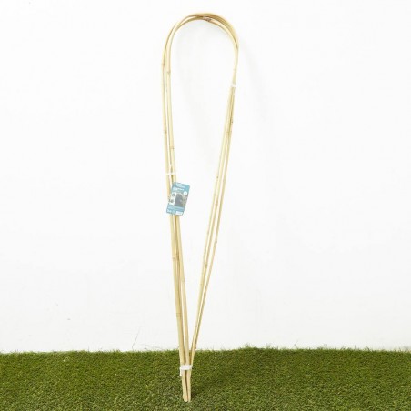 TUTOR BAMBÚ ARCO 120CM (3 UD) VERDECORA