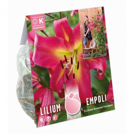 LILIUM ARBOREO EMPOLI X3