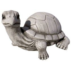 TORTUGA