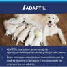 ADAPTIL COLLAR TRANQUILIZANTE PARA PERROS 45 CM